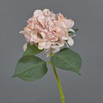 Ortensia artificiale FUXIANG, rosa-crema, 50 cm