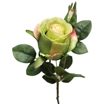 Rosa artificiale BARIADY, verde-rosa, 35 cm Rosa artificiale BARIADY, verde-rosa, 35 cm