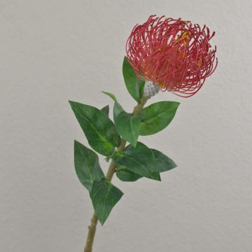 Protea artificiale XIFANG, rosso, 75 cm
