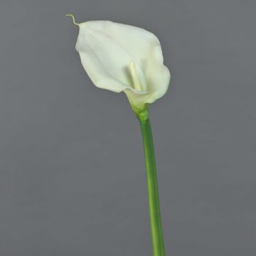Calla artificiale ZHILONG, bianco, 55 cm