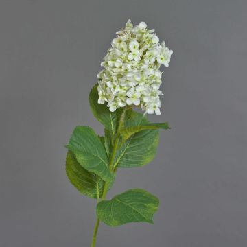 Ortensia artificiale Paniculata artificiale YANGDAN, crema, 85 cm Ortensia artificiale Paniculata artificiale YANGDAN, crema, 85 cm