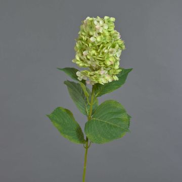 Hydrangea Paniculata artificiale YANGDAN, verde chiaro, 85 cm Hydrangea Paniculata artificiale YANGDAN, verde chiaro, 85 cm