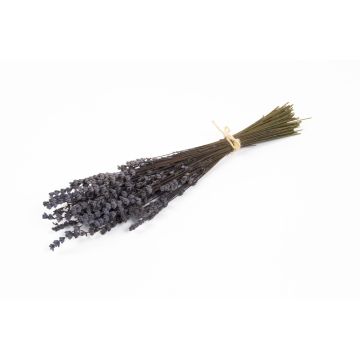 Bouquet di lavanda essiccato AMAYANTE, viola, 35cm, Ø10cm