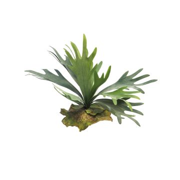 Pianta artificiale di felce di cervo MIAOLI, stelo, verde, 25 cm