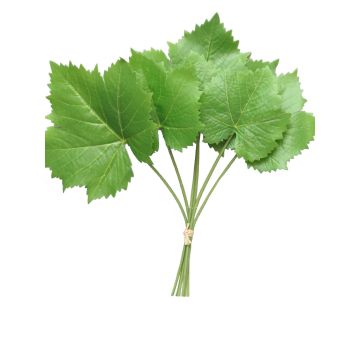 Foglia d'acero artificiale FENLI, 6 pezzi, verde, 30 cm