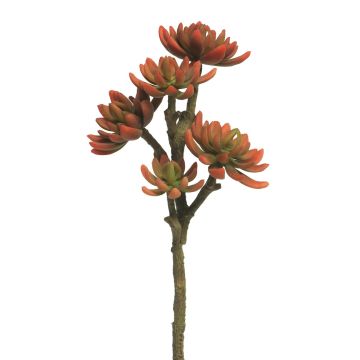 Echeveria elegans artificiale FEIFANG su stelo, rosso-verde, 45 cm
