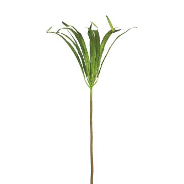 Dracaena artificiale Marginata ZIHAO, verde, 85cm
