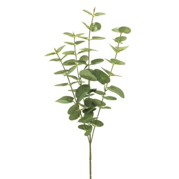 Ramo artificiale di eucalipto MINJIA, verde, 65 cm Ramo artificiale di eucalipto MINJIA, verde, 65 cm