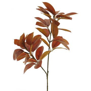 Ramo artificiale di limone LINXIA, marrone-rosso, 75 cm