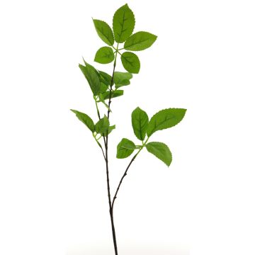 Ramo di melo artificiale SHUYI, verde, 75 cm