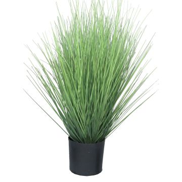 Erba finta di panicum virgatum YAMIN, verde, 60 cm