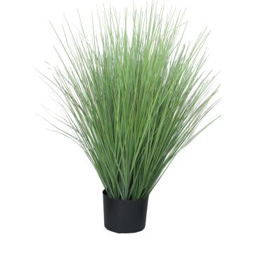 Erba finta di panicum virgatum YAMIN, verde, 75cm