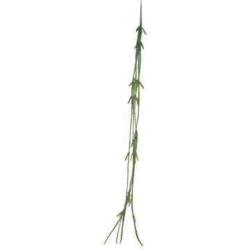 Rhipsalis artificiale pensile MINYAN, stelo, verde, 105 cm Rhipsalis artificiale pensile MINYAN, stelo, verde, 105 cm