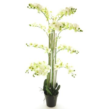 Orchidea Phalaenopsis artificiale CHENXU, bianco, 140 cm