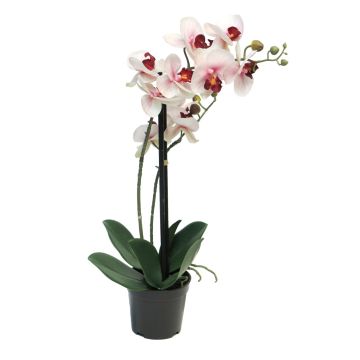 Orchidea Phalaenopsis artificiale CHENXU, rosa-crema, 50 cm Orchidea Phalaenopsis artificiale CHENXU, rosa-crema, 50 cm