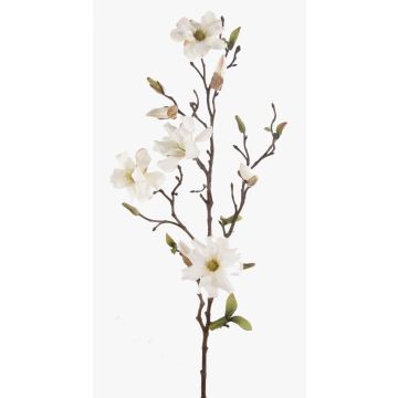 Ramo di magnolia artificiale LILO, crema, 75cm, &Oslash;5-9cm