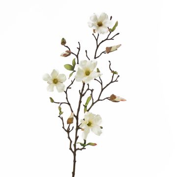 Ramo di magnolia artificiale LILO, crema, 75cm, Ø5-9cm Ramo di magnolia artificiale LILO, crema, 75cm, Ø5-9cm