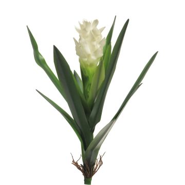 Fiore artificiale di alpinia purpurata LINNIE, bianco, 55 cm
