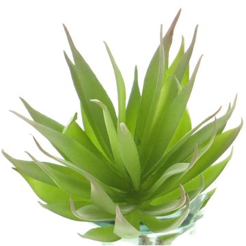 Agave decipiens artificiale DEYUNA su stelo, verde, 18 cm