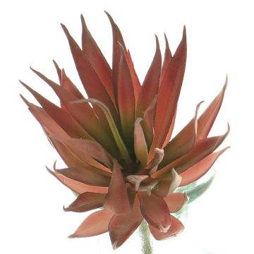 Agave decipiens artificiale DEYUNA su stelo, rosso, 18cm