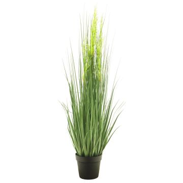 Erba decorativa di calamagrostis RULIN con spighe, vaso decorativo, giallo-verde, 130cm