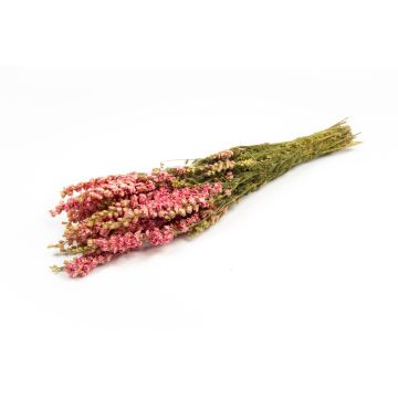 Bouquet secco di delphinium AITHANA, rosa-crema, 70cm, Ø18cm