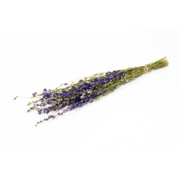 Bouquet secco di delphinium AITHANA, blu-verde, 70cm, Ø18cm