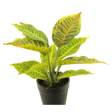 Pianta artificiale di croton SUNLAN in vaso decorativo, verde-giallo, 25cm