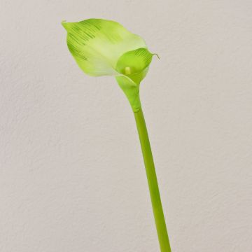 Calla di simulazione MARIOLA, verde, 80cm, 8x15cm