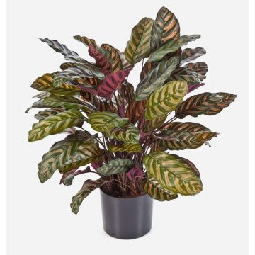 Calathea sintetica BIJAN, grande, verde-rosso, 80cm