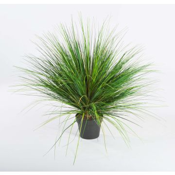 Sparto pungente artificiale FABIAN, verde, 65cm