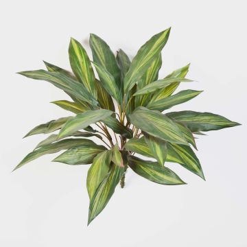 Cespuglio di dracaena finto MERON, su stelo, verde-giallo, 50cm Cespuglio di dracaena finto MERON, su stelo, verde-giallo, 50cm