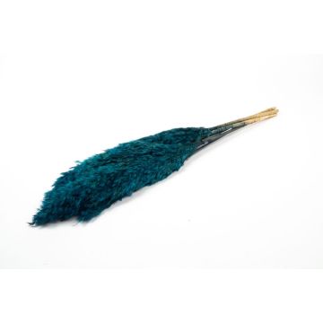 Mazzo di canne essiccate DONJETA, petrolio, 70-80cm, Ø15cm