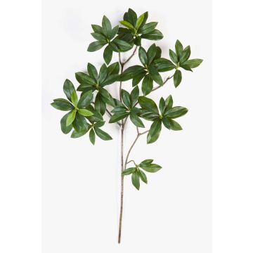 Ramo di fusaggine giapponese artificiale SACHIKO, verde, 55cm Ramo di fusaggine giapponese artificiale SACHIKO, verde, 55cm