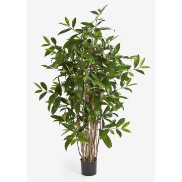 Dracena surculosa artificiale SIMBA tronchi naturali, verde 120cm