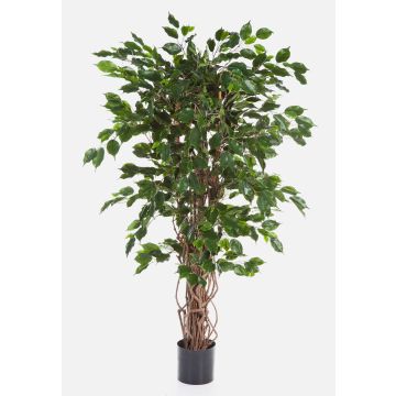 Albero di ficus artificiale AMELIO tronchi naturali, verde, 150cm Albero di ficus artificiale AMELIO tronchi naturali, verde, 150cm