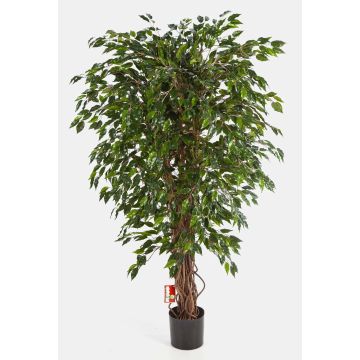Albero di ficus finto DAKU, tronchi naturali, verde, 90cm
