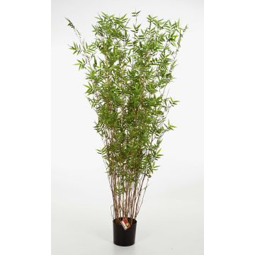 Albero di bambù artificiale DAYA, tronchi naturali, verde, 70cm