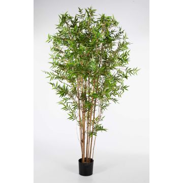 Albero di bambù artificiale KANAYO, tronchi veri, verde, 150cm