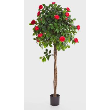 Camelia artificiale ERINA, tronchi veri, con fiori, fucsia, 130cm