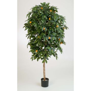 Arancio artificiale CELIA, tronco vero, con frutti, verde, 110cm