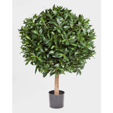 Alloro artificiale TIBERIUS, tronco vero, frutti, verde, 100cm, Ø80cm