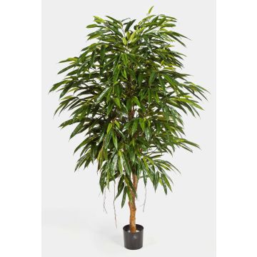 Longifolia regale artificiale HISA, tronco naturale, verde, 180cm