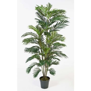 Palma areca artificiale JENNICA, 180cm