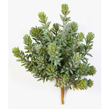 Sedum artificiale OLAVI su stelo, verde, 20cm