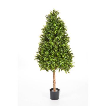 Albero di bosso artificiale TOM, tronco naturale, verde, 140cm