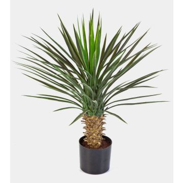 Palma yucca rostrata artificiale RAFFAELA, 80cm Palma yucca rostrata artificiale RAFFAELA, 80cm