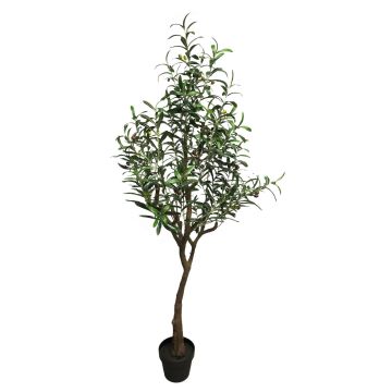 Albero decorativo di ulivo LIANSHU, tronco artificiale, frutti, 150cm Albero decorativo di ulivo LIANSHU, tronco artificiale, frutti, 150cm