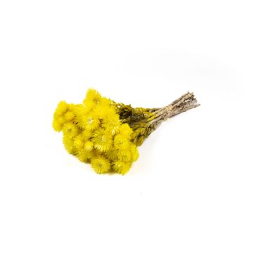 Bouquet di fiori di paglia essiccati BIBIANA, giallo, 35-45cm, Ø15cm Bouquet di fiori di paglia essiccati BIBIANA, giallo, 35-45cm, Ø15cm