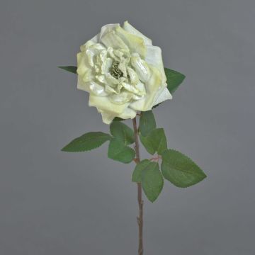 Rosa di velluto YUFAN, crema, 60 cm